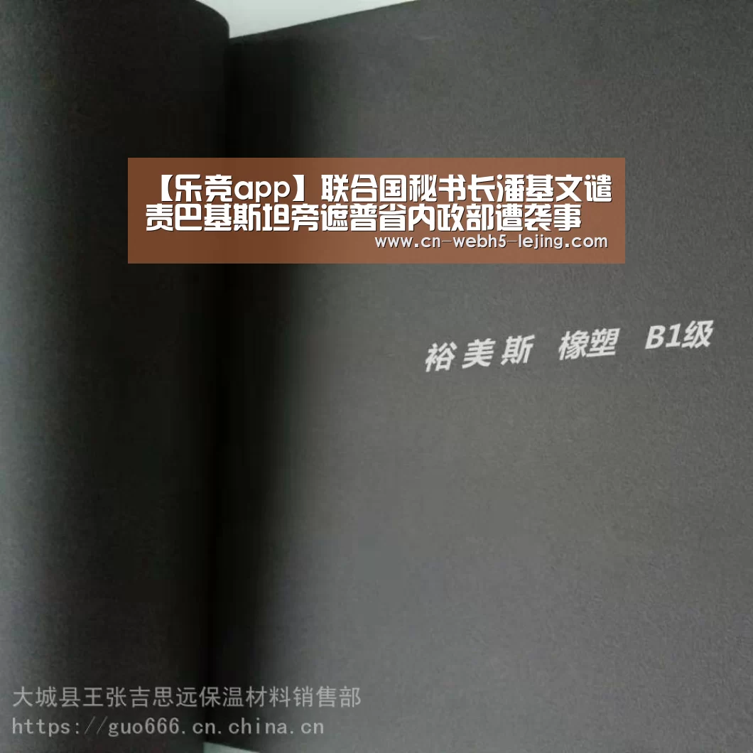 【乐竞app】联合国秘书长潘基文谴责巴基斯坦旁遮普省内政部遭袭事件(图2) 乐竞app