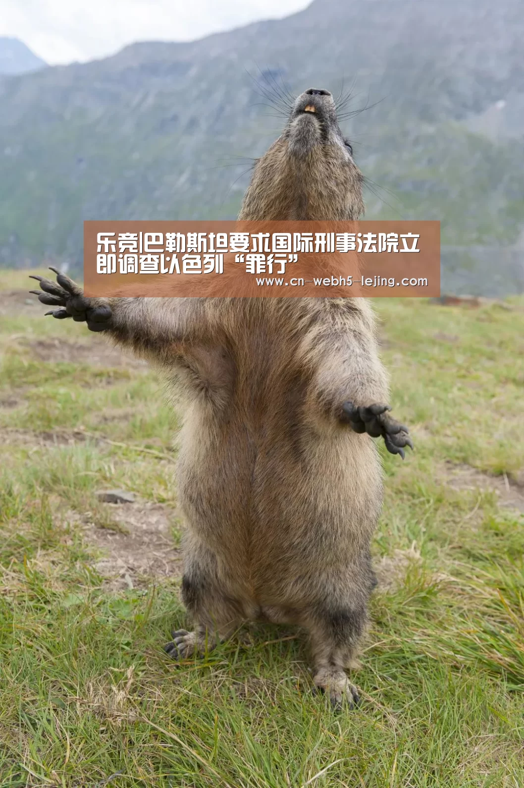 乐竞|巴勒斯坦要求国际刑事法院立即调查以色列“罪行”(图1) 乐竞首页