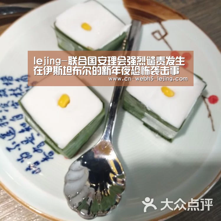 lejing-联合国安理会强烈谴责发生在伊斯坦布尔的新年夜恐怖袭击事件(图4) 乐竞俱乐部