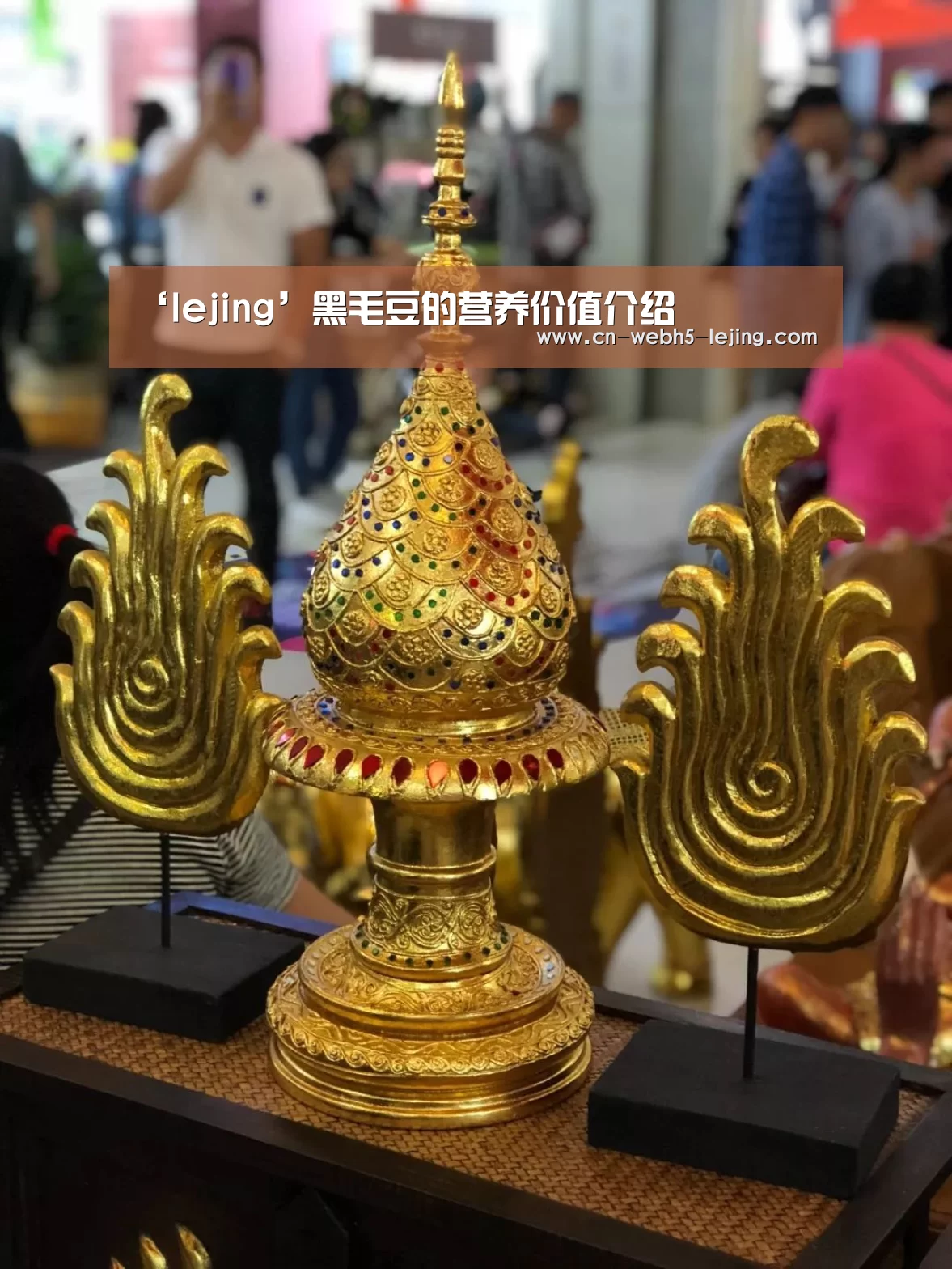 ‘lejing’黑毛豆的营养价值介绍(图2) 乐竞