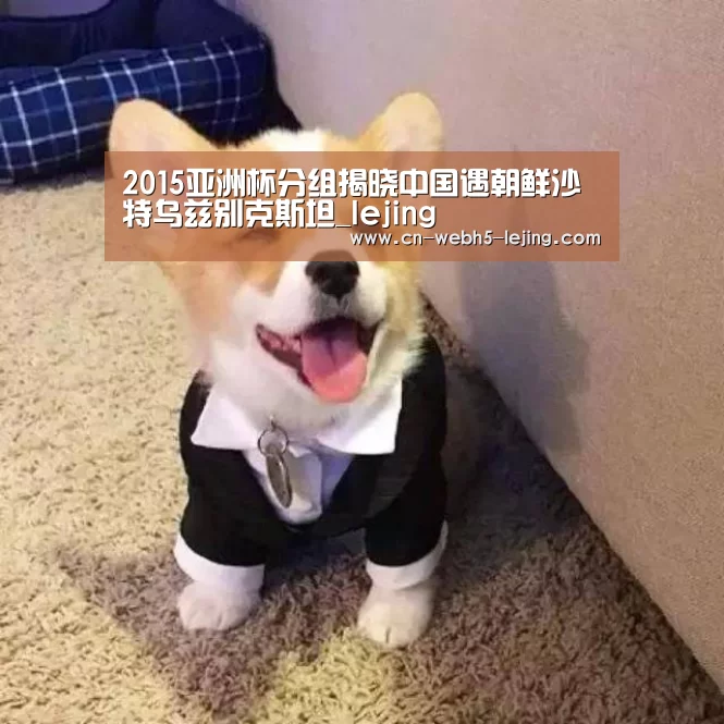 2015亚洲杯分组揭晓中国遇朝鲜沙特乌兹别克斯坦_lejing(图3) 乐竞app