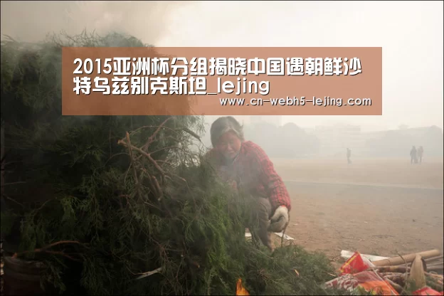 2015亚洲杯分组揭晓中国遇朝鲜沙特乌兹别克斯坦_lejing(图1) 2015亚洲杯分组揭晓中国遇朝鲜沙特乌兹别克斯坦_lejing(图1)